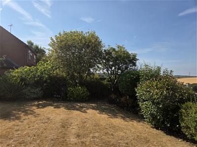 Picture 15
